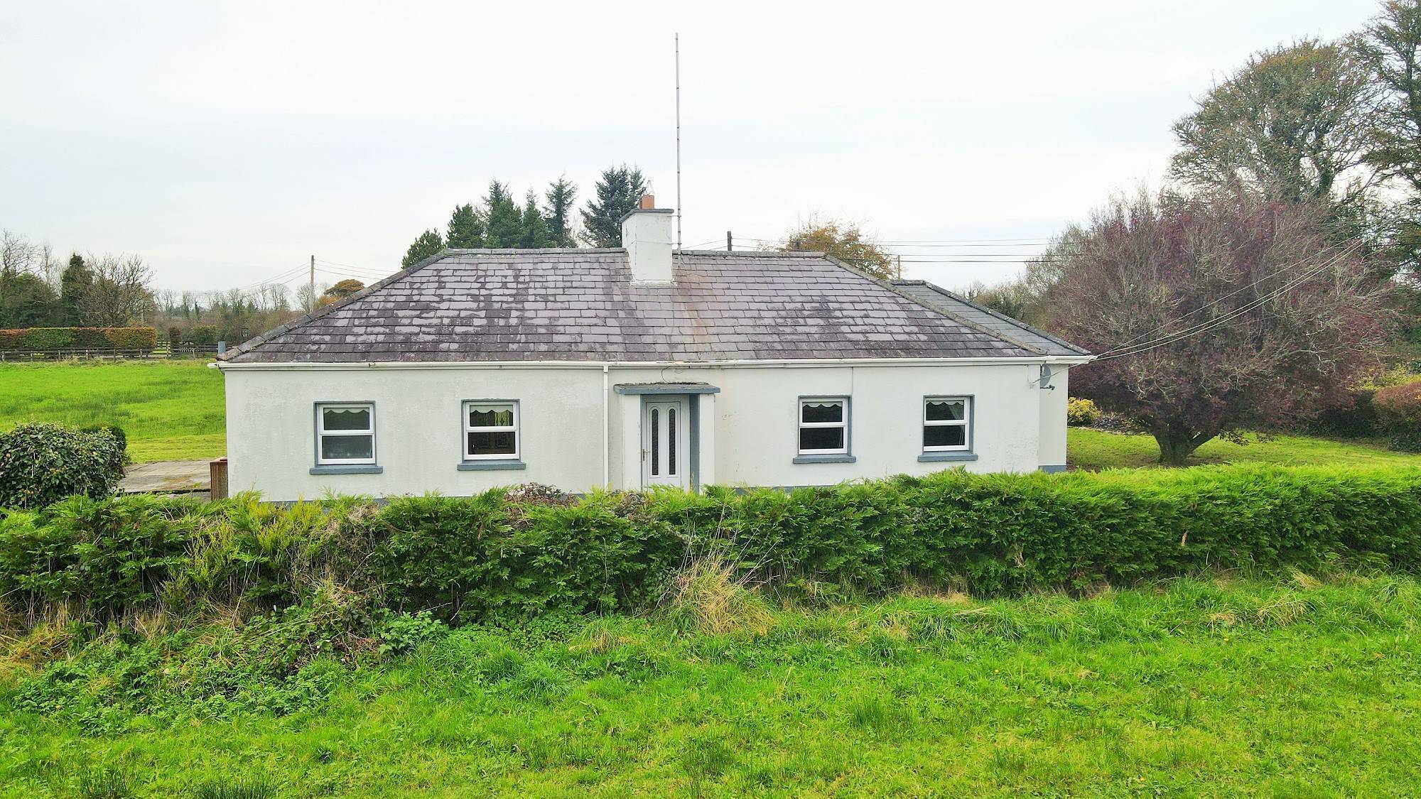 Ballinameen bungalow set on 1.1 acres on the market News