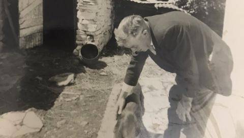 A magical Christmas story