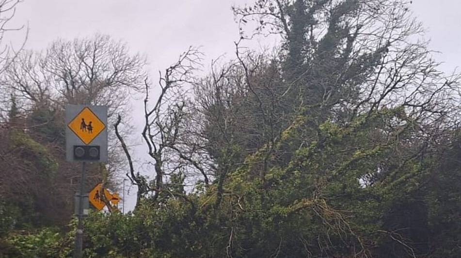 Caution urged on County Roscommon roads as fallen trees are blocking ...