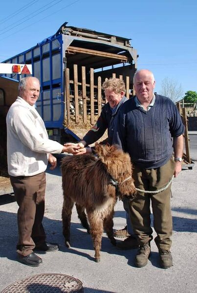 This May Bank Holiday, ‘The Shambles’, in Ballaghaderreen will again play host to the event, which in the past, saw people come from far and wide. Pic. Eithne Gallagher This May Bank Holiday, ‘The Shambles’, in Ballaghaderreen will again play host to the event, which in the past, saw people come from far and wide. Pic. Eithne Gallagher