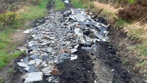 Illegally dumped hazardous asbestos waste cleaned up in County Roscommon Illegally dumped hazardous asbestos waste cleaned up in County Roscommon