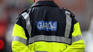 Irish People Party election candidate charged with harassing a garda Irish People Party election candidate charged with harassing a garda