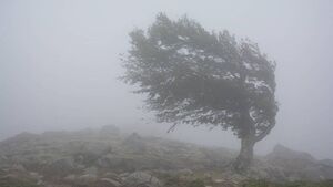 County Roscommon spared Status Orange wind warning as Storm Amy approaches County Roscommon spared Status Orange wind warning as Storm Amy approaches