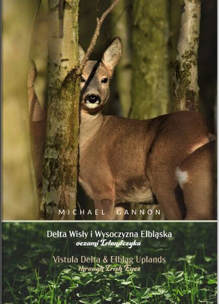 The Vistula Delta and the Elbląg Uplands through Irish Eyes’ by Michael Gannon will be launched on Thursday evening in Roscommon Library. The Vistula Delta and the Elbląg Uplands through Irish Eyes’ by Michael Gannon will be launched on Thursday evening in Roscommon Library.