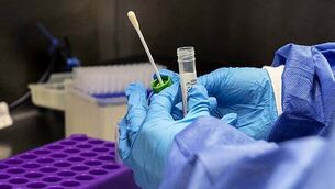 Custodial sentence 'inevitable' for former Kilkenny hurler DJ Carey, Judge tells court Custodial sentence 'inevitable' for former Kilkenny hurler DJ Carey, Judge tells court