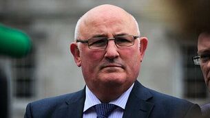 European and local elections: Dublin MEPs elected as John Moran elected Limerick Mayor European and local elections: Dublin MEPs elected as John Moran elected Limerick Mayor