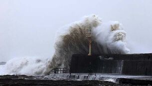 Woman who died in Mayo three-vehicle collision named Woman who died in Mayo three-vehicle collision named