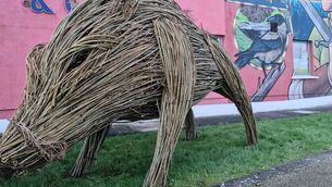 <p>Far from boaring at the Rathcroghan Visitor Centre</p> <p>Far from boaring at the Rathcroghan Visitor Centre</p>