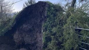 <p>Storm Dave brought down this tree earlier this afternoon, Saturday, in the Trien area of Castlerea.</p> <p>Storm Dave brought down this tree earlier this afternoon, Saturday, in the Trien area of Castlerea.</p>
