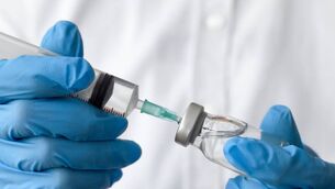 <p>At the recent HSE West Regional Health Forum, the need for the rollout of a free shingles vaccine to people over 66 years of age was highlighted.</p> <p>At the recent HSE West Regional Health Forum, the need for the rollout of a free shingles vaccine to people over 66 years of age was highlighted.</p>