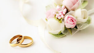 850 dead salmon found in Sligo river 850 dead salmon found in Sligo river