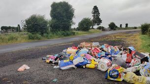 <p>Anger over fly tipping in Moore, South Roscommon. </p> <p>Anger over fly tipping in Moore, South Roscommon. </p>