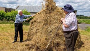 <p>Paddy O'Connor and Christy Rogers from Ballinagare demonstrate how a cock of hay is built. Pic: Breda Durr</p> <p>Paddy O'Connor and Christy Rogers from Ballinagare demonstrate how a cock of hay is built. Pic: Breda Durr</p>