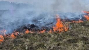 <p>A bog fire has broken out in Kilteevan near Roscommon Town. </p> <p>A bog fire has broken out in Kilteevan near Roscommon Town. </p>