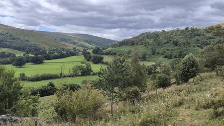 Herald Opinion: All Creatures Great and Small on the Yorkshire Dales Herald Opinion: All Creatures Great and Small on the Yorkshire Dales