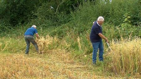 Local Notes: Harvest Day, Auto Show and Cookery Classes Local Notes: Harvest Day, Auto Show and Cookery Classes