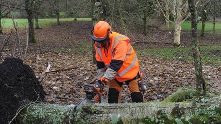 Free chainsaw training courses now open Free chainsaw training courses now open