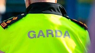 <p>Gardaí and emergency services attended the scene of the collision.</p> <p>Gardaí and emergency services attended the scene of the collision.</p>